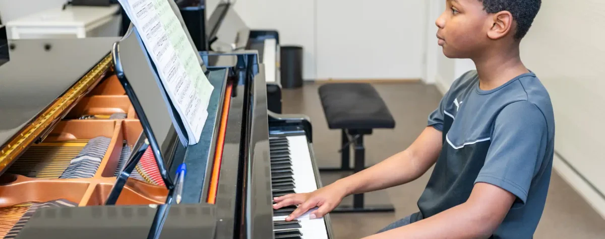 Parcours études : 1er et 2ème cycle