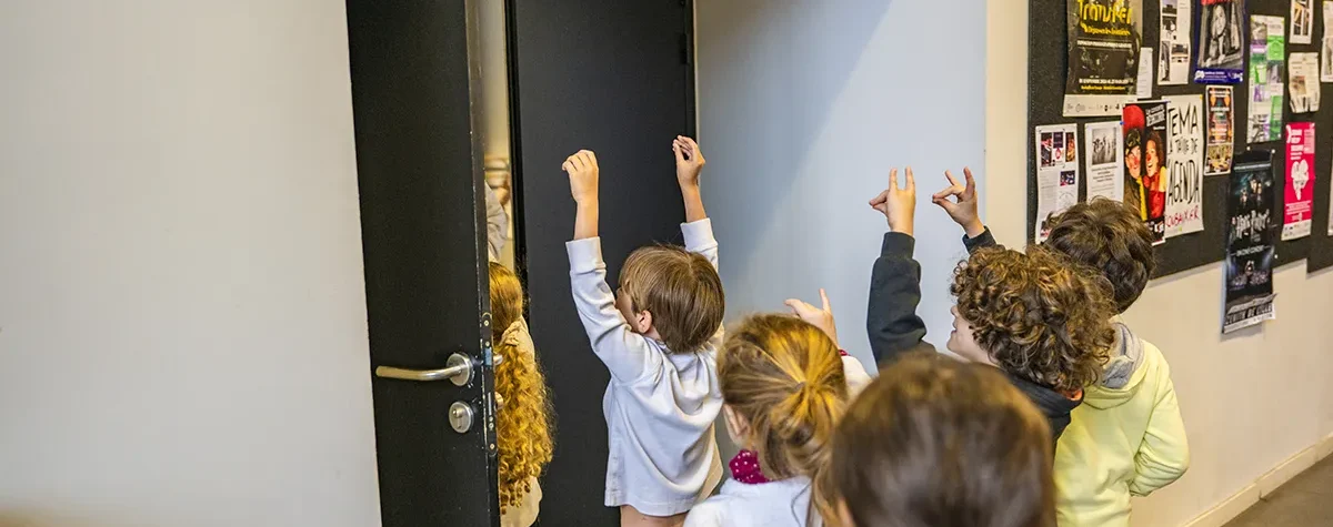 Parcours études : 1er et 2ème cycles